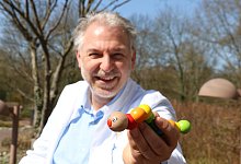 GUSI - Alexandra Schaller