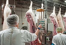 urn:newsml:dpa.com:20090101:200909-99-494425 - dpa