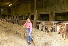 rtl_bsf_xvi_denise_71 - TV NOW