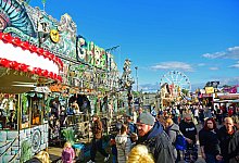 nic_2757b - Nicole Ellerbrake