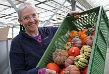 K&uuml;rbisse Lebenshilfe Detmold - Nico D&uuml;llmann