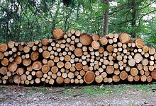 holz_01 - Landesverband Lippe