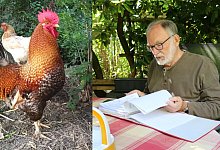 Hahn "Magda" - Alexandra Schaller/Michael Dunker