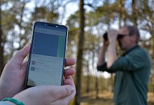 Orni - Sigurd Gringel