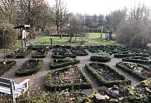 Apothekergarten - Thomas Reineke