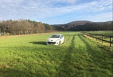 Februar_PkwaufWeide - Polizei