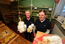 Museumsadvent - Nicole Ellerbrake