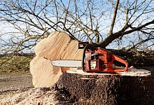 chainsaw-4815949_1280 - Pixabay