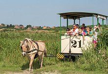Spiekeroog - Patrick Kösteres