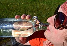 water-2309052_1920 - Stuart Hampton/Pixabay