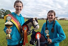 Hobby Horsing - 1 - Sven Hauhart