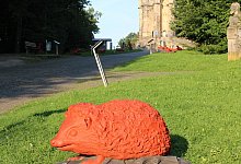 demozug-der-tiere-mit-hermannnaturpark - 1 - 1 - Naturpark