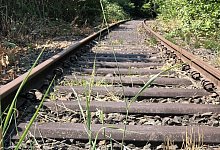 img_7308 - 1 - Archivfoto: Till Brand