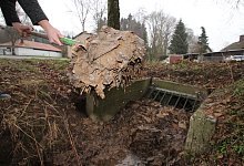 Pillenbrucher Bach - Jens Rademacher