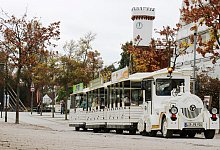 Paulinchen - Alexandra Schaller