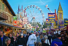 Reinholdi - Nicole Ellerbrake