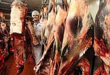 kr_fleisch_t&ouml;neb&ouml;n - vera gerstendorf-welle