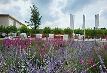 Kurpark Bad Salzuflen - Freya K&ouml;hring