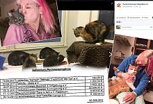 Das Tierheim Bielefeld &uuml;bernahm 39 der Tiere. Entsprechend hoch waren dort die Kosten. - Fotos: privat, Facebook / Montage: Thomas Grundmann