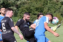 a44i8429 - paul cohen