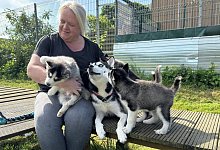 img_0928 - 1 - Sven Kienscherf