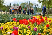 Park1 - Birgit Vredenburg