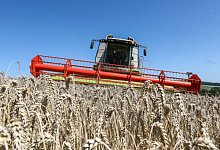 Vorl&auml;ufige Erntebilanz 2023 - dpa