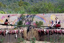 &laquo;Ich bin ein Star &ndash; Showdown der Dschungel-Legenden&raquo; - Tag 9 - -/RTL+/dpa