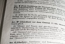 Rasse - Foto: Jens Kalaene/dpa