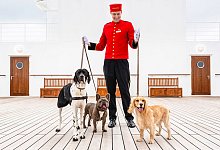Hunde an Bord der Queen Mary 2 von Cunard - Christopher Ison/Cunard/dpa-tmn