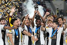 Pokal - Achmad Ibrahim/AP