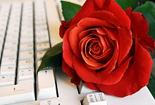 Liebesbeweis im B&uuml;ro - Foto: Jens Schierenbeck