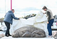 Walross Freya - Annika Byrde/NTB/dpa