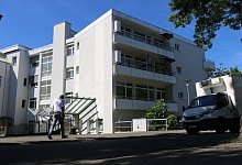 sa_ameos_gross - Alexandra Schaller