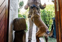 Nervige Angewohnheit - Foto: Markus Scholz/dpa-tmn