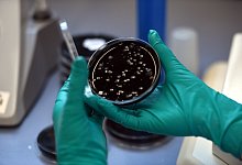 Legionellen - Foto: picture alliance / dpa