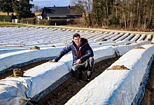 img_1925 - Daniel Salmon