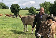 Martin Schlue - Till Brand