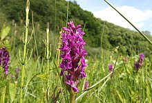 img_20250521_151058_401 - Jens Rademacher