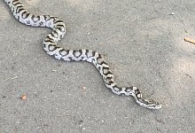 img_20240730_122743 - 1 - 1 - Claudia Schlothauer