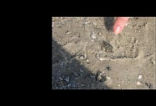 PointerPointer.com - Foto: PointerPointer.com/dpa-tmn