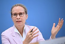 Frauke Brosius-Gersdorf - Britta Pedersen/dpa