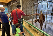 Pata Zoo in Bangkok - Carola Frentzen/dpa