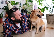 B&ouml;ller-Angst beim Hund abgew&ouml;hnen - Angel Santana Garcia/Westend61/dpa-tmn