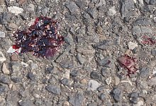 Nach Messerangriff eines 11-J&auml;hrigen in Remscheid - David Young/dpa