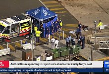 Haiangriff in einem Vorort von Sydney - Supplied/AUSTRALIAN BROADCASTING CORPORATION (ABC) via AAP Image/dpa