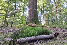 20230924_124230 - 1 - Archivfoto: Carolin Brokmann-F&ouml;rster