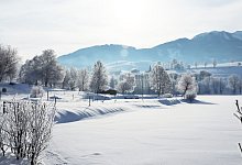 Saalfelden Leogang - Verena Wolff/dpa-tmn