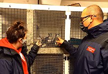 Tierheim Detmold - Unsere H&auml;nde f&uuml;r viele Pfoten e.V.