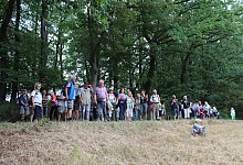 Wanderung zum Blomenstein - Nadine Uphoff